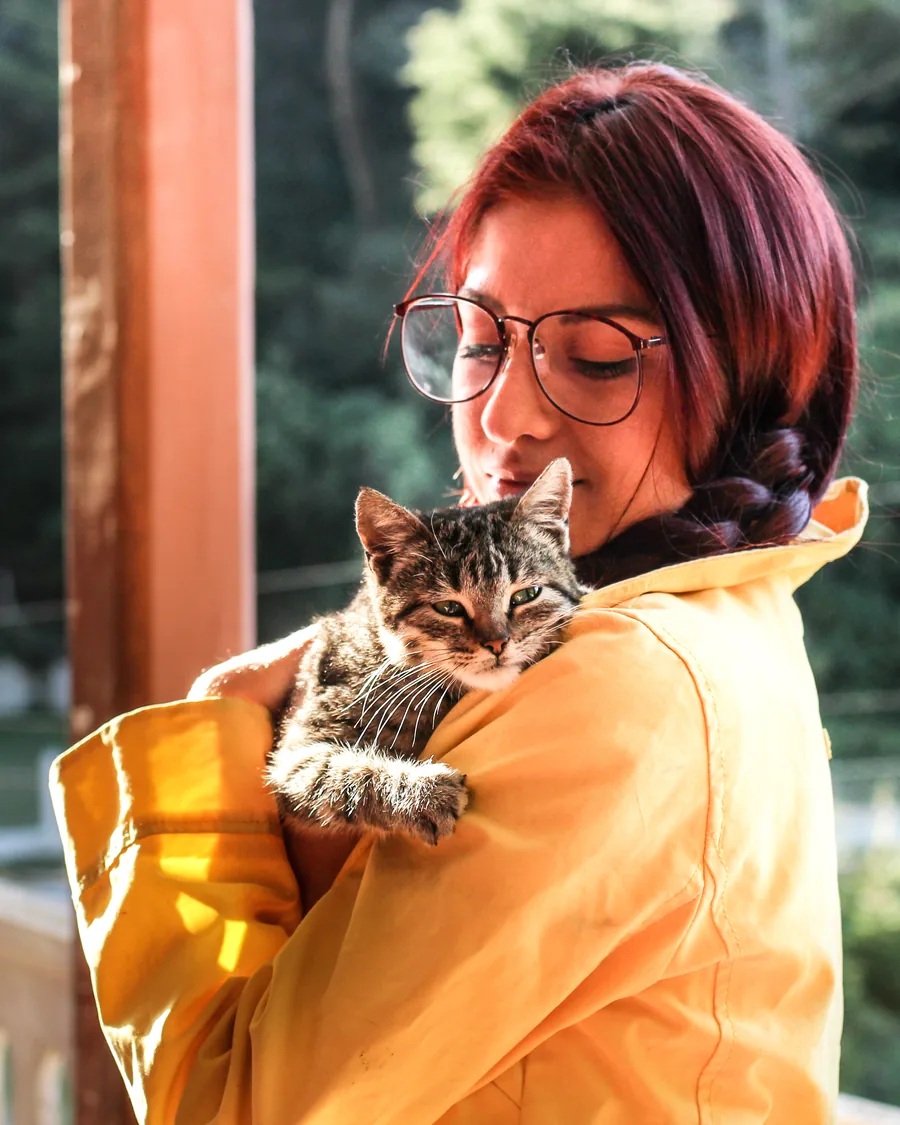 Mulher de capa de chuva amarela segurando um gato tigrado no colo